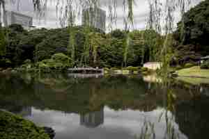 Bezpłatne zdjęcie ogród narodowy shinjuku gyoen