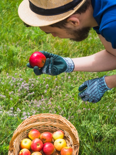 Ogrodniczka patrzeje świeżego czerwonego jabłka