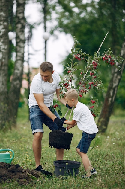 Ojciec z małym synkiem sadzi drzewo na podwórku