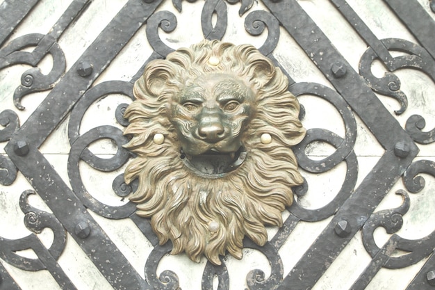 Bezpłatne zdjęcie old lion head door