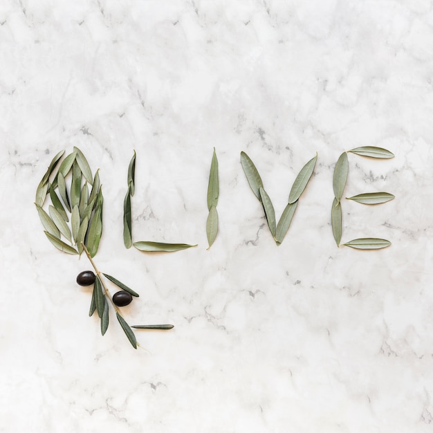 Oliwkowy słowo robić z oliwnymi liśćmi na marmurowym tle