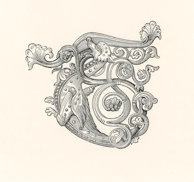 Ornament Polichromia