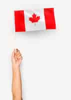 Bezpłatne zdjęcie osoba machająca flagą kanady
