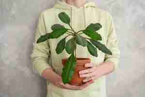 Bezpłatne zdjęcie osoba przesadzająca rośliny w nowych doniczkach