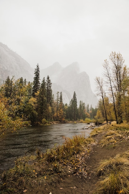 Bezpłatne zdjęcie oszałamiające pionowe ujęcie krajobrazu parku narodowego yosemite w kalifornii, usa