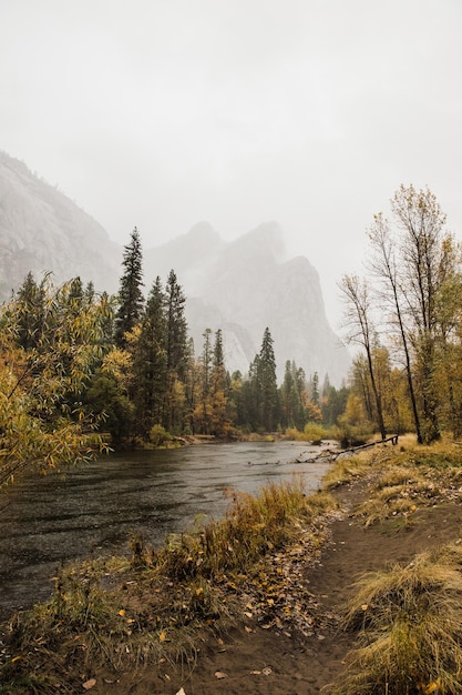 Oszałamiające pionowe ujęcie krajobrazu Parku Narodowego Yosemite w Kalifornii, USA