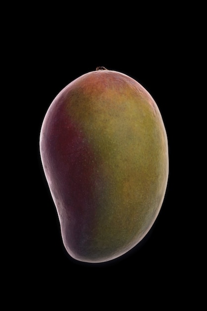 Owoce mango na czarno