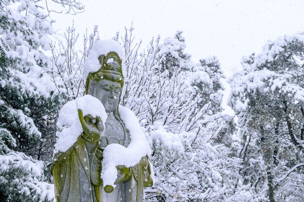 Padający śnieg na posągu Guanyin w zimie z drzewami pokrytymi śniegiem