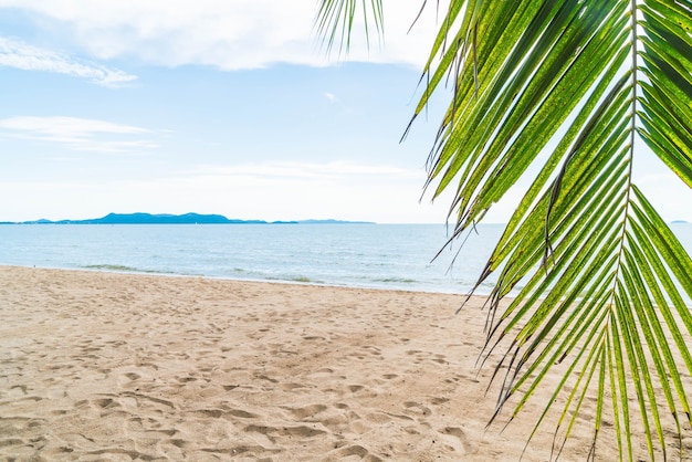 Bezpłatne zdjęcie palma i tropikalnej plaży w pattaya w tajlandii