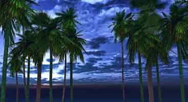 Bezpłatne zdjęcie palmy w nocy
