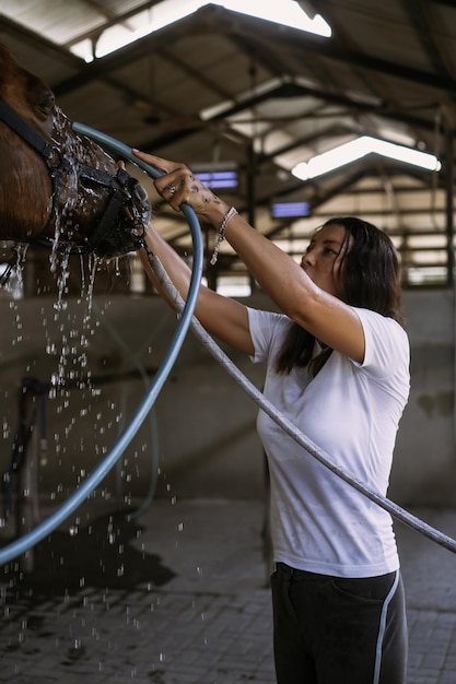 Bezpłatne zdjęcie pani groomer opiekuje się i czesze sierść konia po zajęciach hipodromu. kobieta opiekuje się koniem, myje konia po treningu.