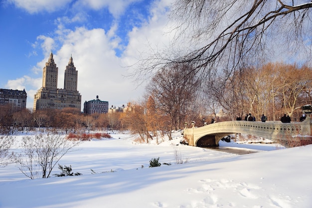 Panorama Nowego Jorku na Manhattanie w zimie