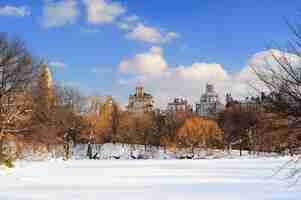 Bezpłatne zdjęcie panorama nowego jorku na manhattanie