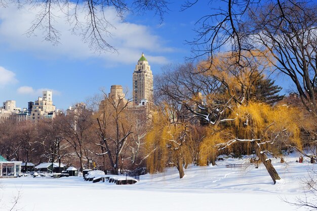 Panorama Nowego Jorku na Manhattanie