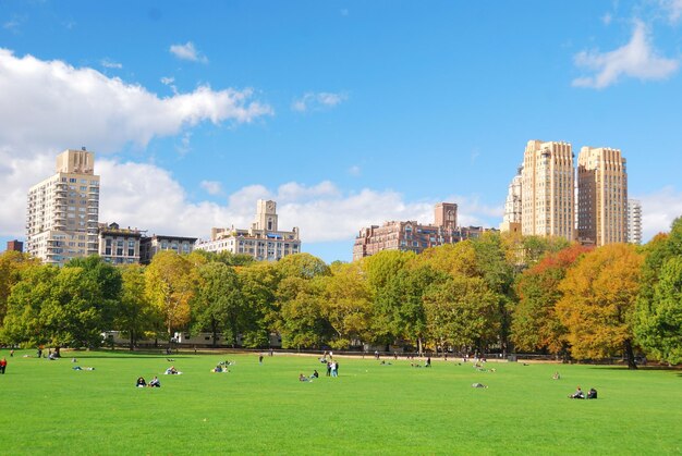 Panoramę Nowego Jorku na Manhattanie w Central Parku