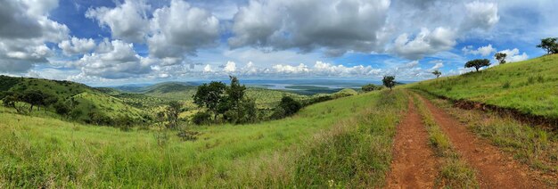 Panoramiczne ujęcie Parku Narodowego Akagera w Rwandzie w Afryce