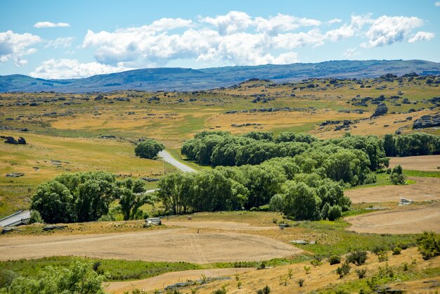 Panoramiczny krajobraz wzgórz i pastwisk Central Otago w Nowej Zelandii