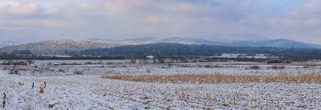 Panoramiczny widok na górę Medvednica pokrytą drzewami i śniegiem pod zachmurzonym niebem w Chorwacji