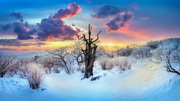 Bezpłatne zdjęcie panoramiczny widok na góry deogyusan w zimie, korea południowa.