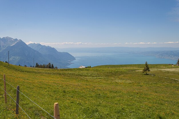 Panoramiczny widok na Lavaux, Szwajcaria z płotem i zieloną trawą