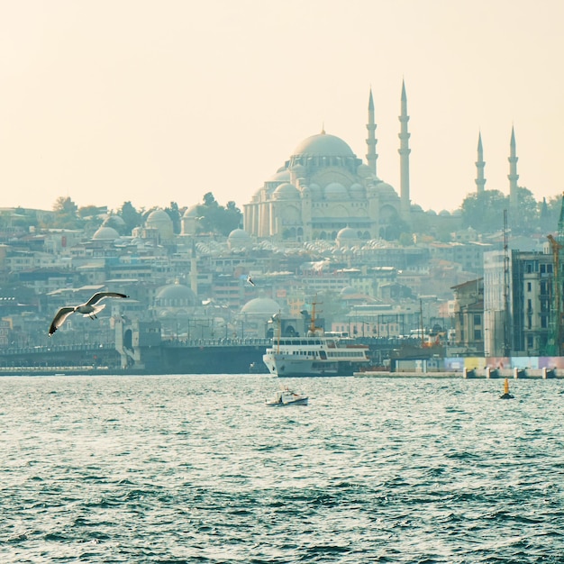 Panoramiczny widok na piękne miasto Stambuł morze i latająca mewa Turcja