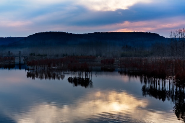 Panoramiczny widok na rzekę w parku