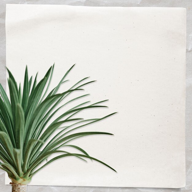 Papierowa notatka z palmą z agawy