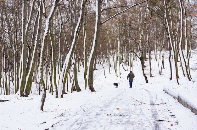 Park i śnieg.