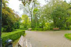 Bezpłatne zdjęcie park miejski panorama pięknego parku