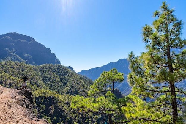 Bezpłatne zdjęcie park narodowy la cumbrecita w centrum wyspy la palma, wyspy kanaryjskie, hiszpania