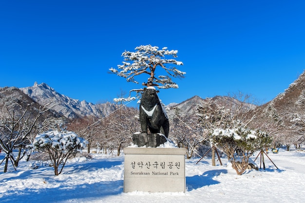 Park Narodowy Seoraksan zimą Położenie w Gangwon w Korei Południowej