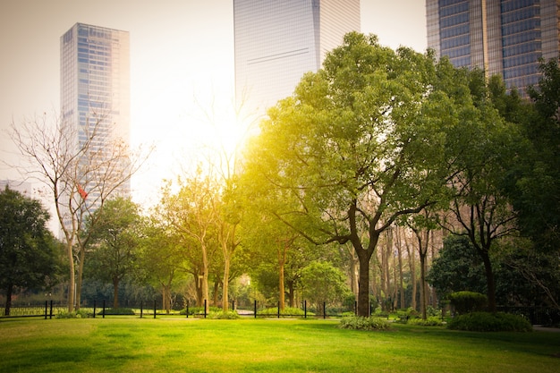 Park w centrum finansowym lujiazui, Szanghaj, Chiny