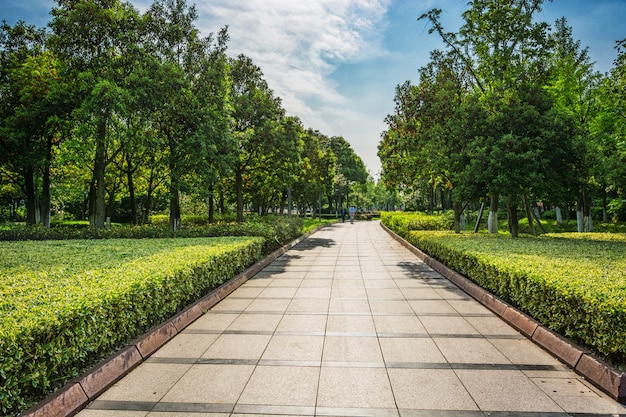 Bezpłatne zdjęcie park