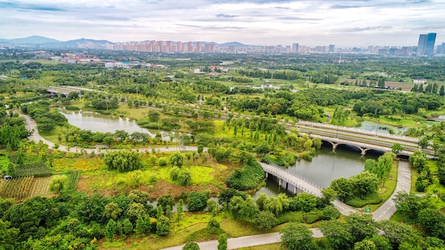 Bezpłatne zdjęcie park