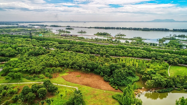 Bezpłatne zdjęcie park