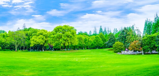 Parków gór refleksji górskiej dekoracji ogród