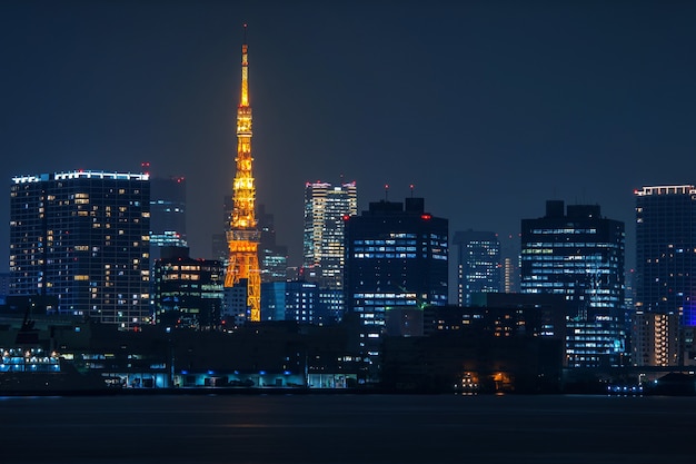 Pejzaż Tokio w nocy, Japonia.