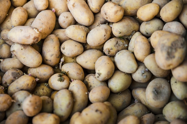 Pełna klatka świeżych ziemniaków organicznych