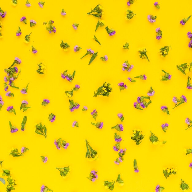Pełna rama różowe kwiaty rozłożone na żółtym tle