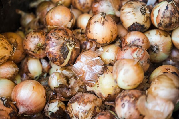 Bezpłatne zdjęcie pełna ramka pozbawiona surowej organicznej cebuli