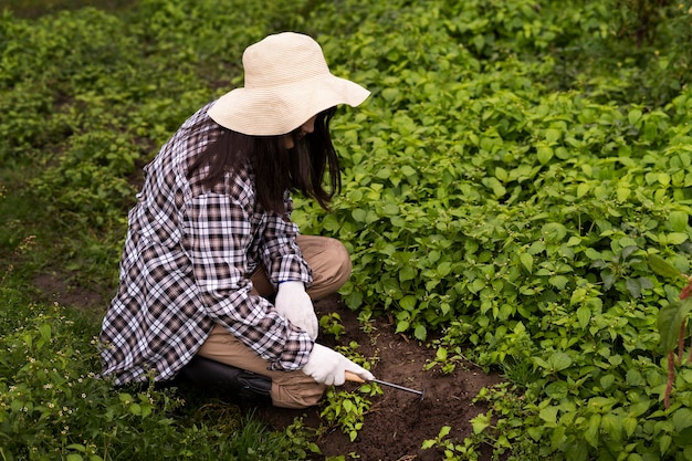 Bezpłatne zdjęcie pełny strzał kobieta dbająca o rośliny