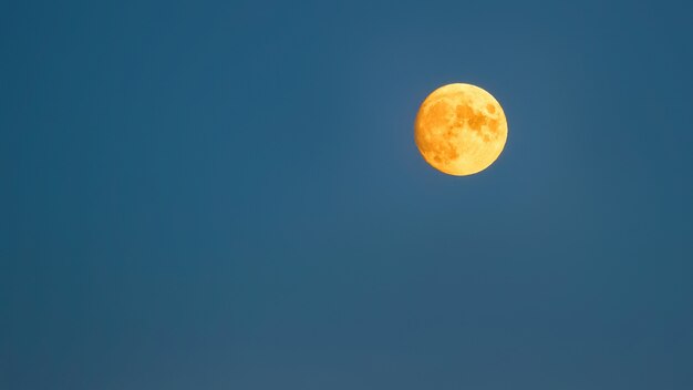 Pełny żółty księżyc na niebieskim sk