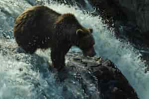 Bezpłatne zdjęcie photorealistic view of wild bear in its natural habitat