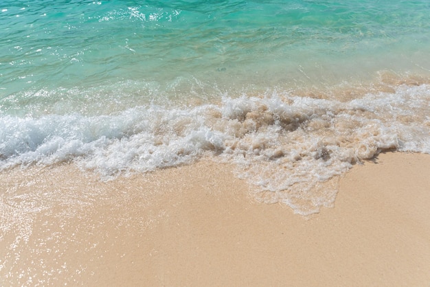 Piaszczysta Plaża I Fale Oceanu