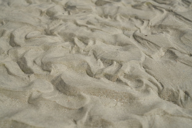 Bezpłatne zdjęcie piaszczysta plaża tekstury