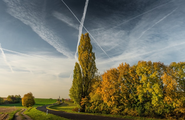Bezpłatne zdjęcie piękna droga idzie przez dużych drzew na trawiastym polu z chmurnym niebem