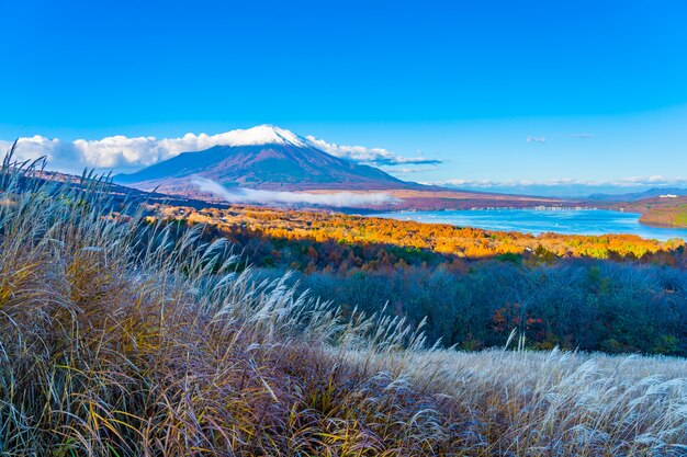 Piękna Fuji góra w yamanakako lub Yamanaka jeziorze