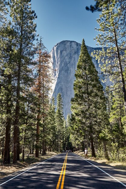 Piękna góra El Capitan w Parku Narodowym Yosemite w Kalifornii, USA