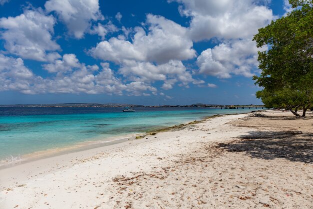 Piękna plaża idealna na spędzenie relaksujących letnich popołudni na Bonaire na Karaibach