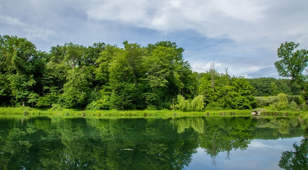 Piękna przyroda parku Maksimir w Zagrzebiu odbita w wodzie